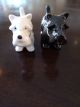 Terrier S&P Shakers