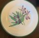 National Wildlife Federation Flower plates - Small